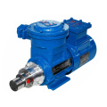 Magnet gear dosing pump for explosive liquids places